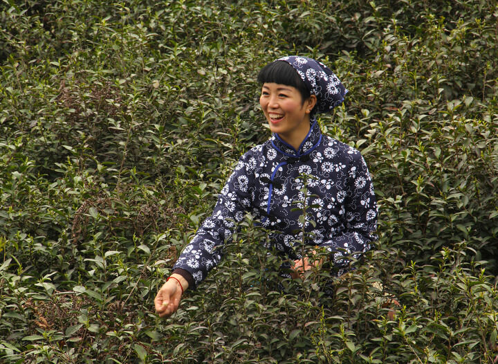 香烟与口红
